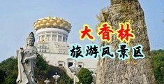 人人爽歪歪在线视频中国浙江-绍兴大香林旅游风景区